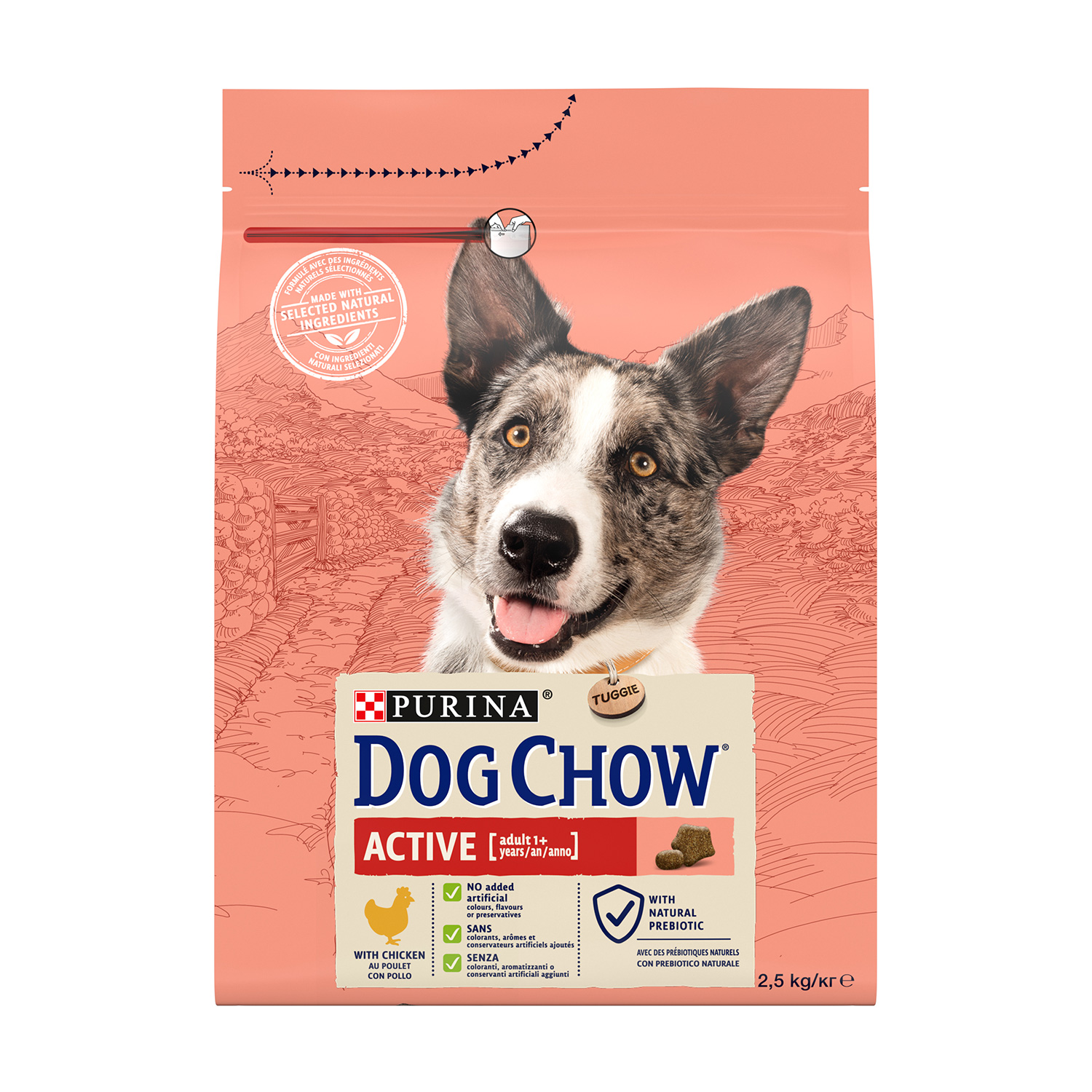 Сухий корм для собак від 1 року Dog Chow Active Adult 1+ з підвищеною активністю, з куркою, 2.5 кг