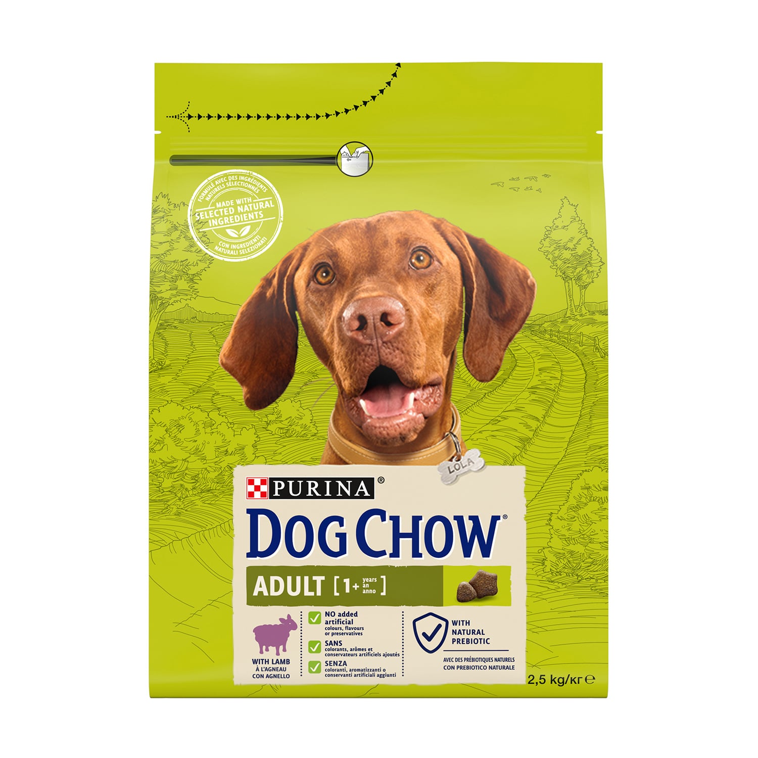 Сухий корм для собак від 1 року Dog Chow Adult 1+ з ягням, 2.5 кг